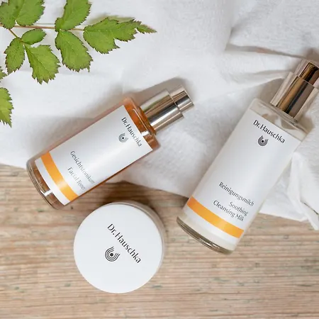 Pichlmayrgut Schladming