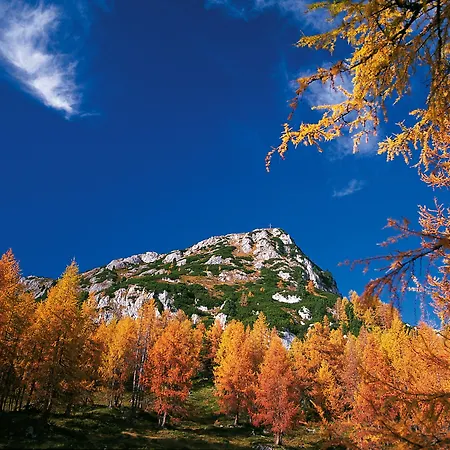 Szálloda Pichlmayrgut Schladming