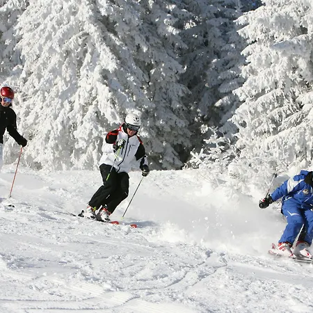 Pichlmayrgut 4* Schladming