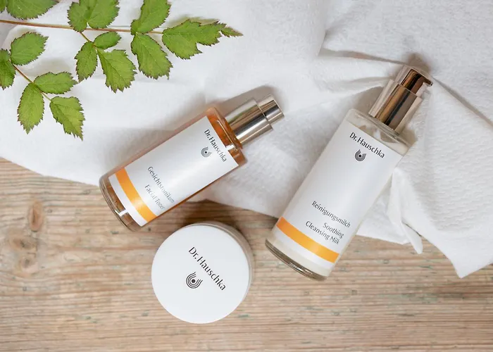 Pichlmayrgut שלאדמינג