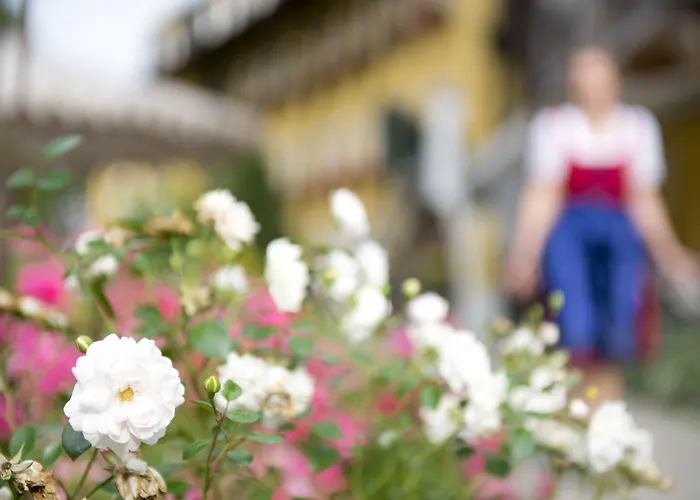 מלון Pichlmayrgut 4*